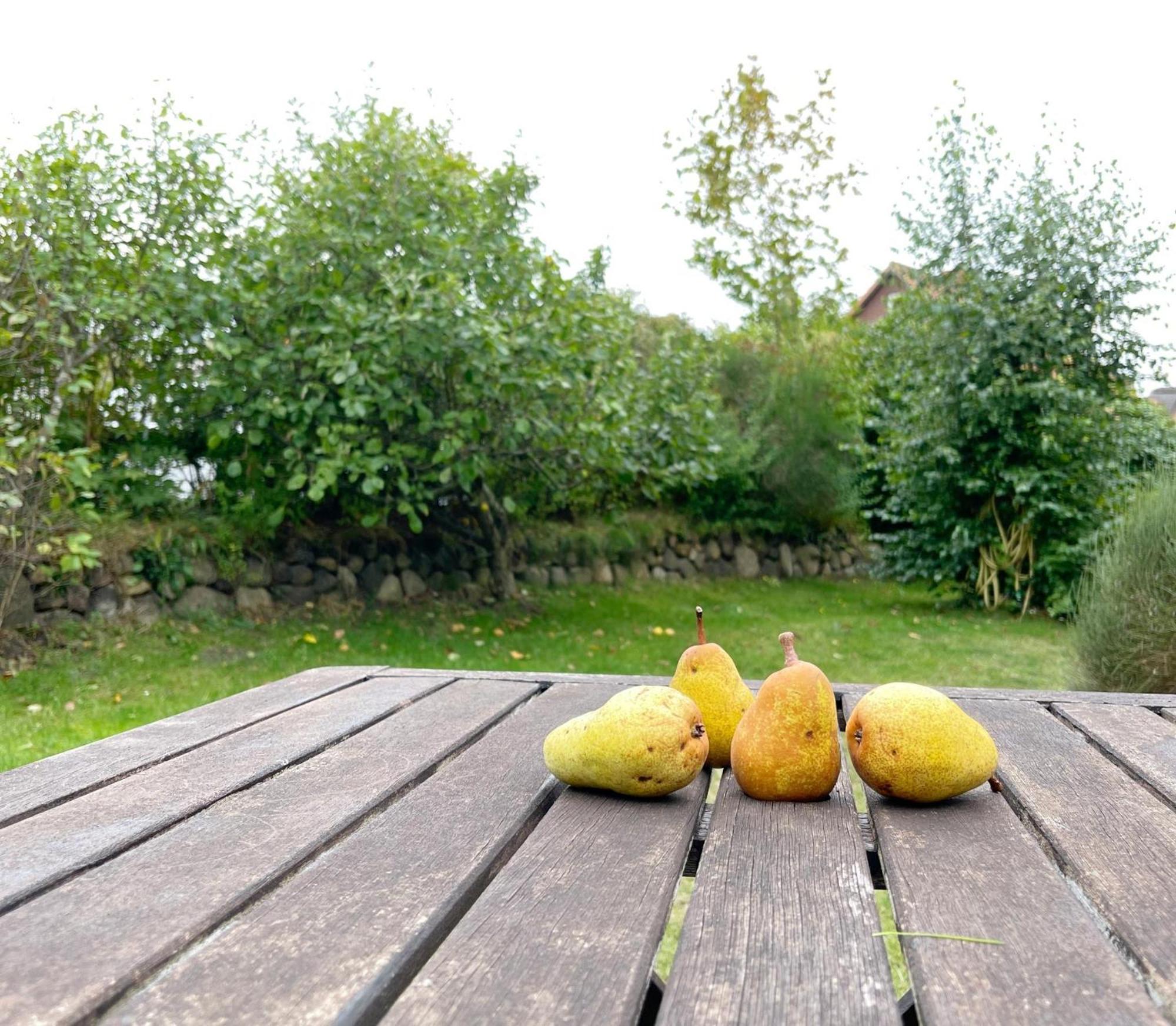 Haus Malte Weninngstedt App 1 Wenningstedt-Braderup Exteriér fotografie